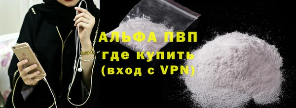 СК Зеленокумск