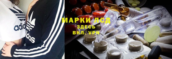 СК Зеленокумск