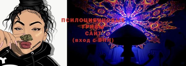 СК Зеленокумск